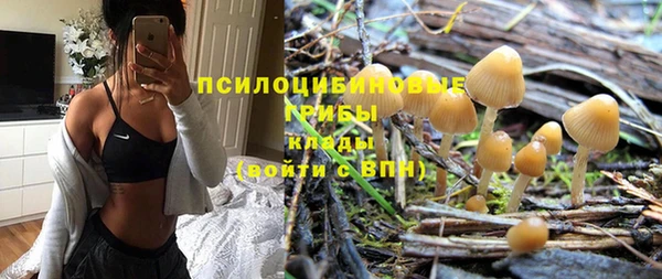 ALPHA-PVP Гусиноозёрск