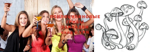 метадон Гусев